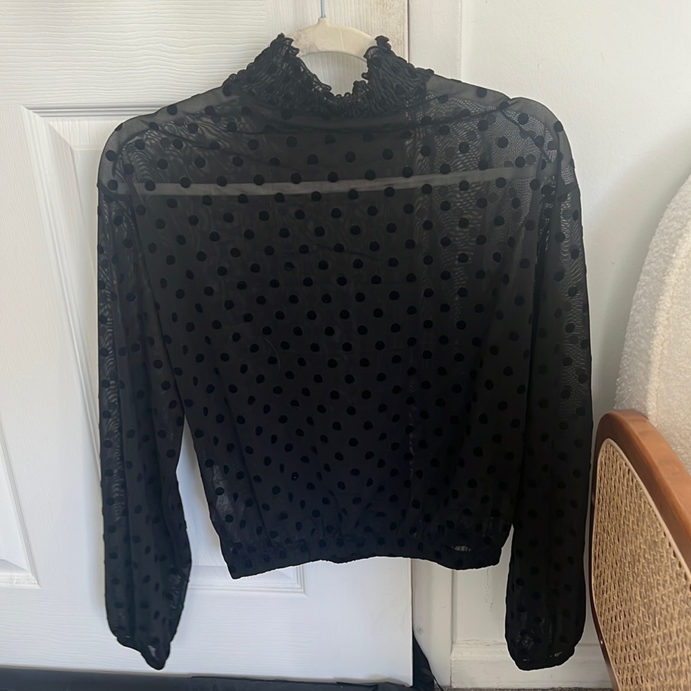 Zara Mesh Polka Dot Top